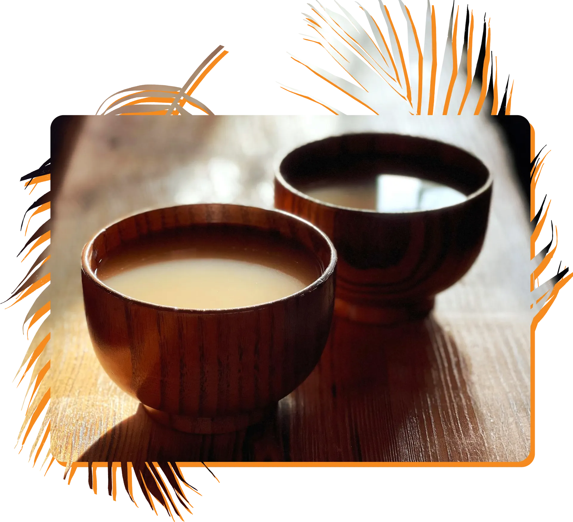 Kava Shells